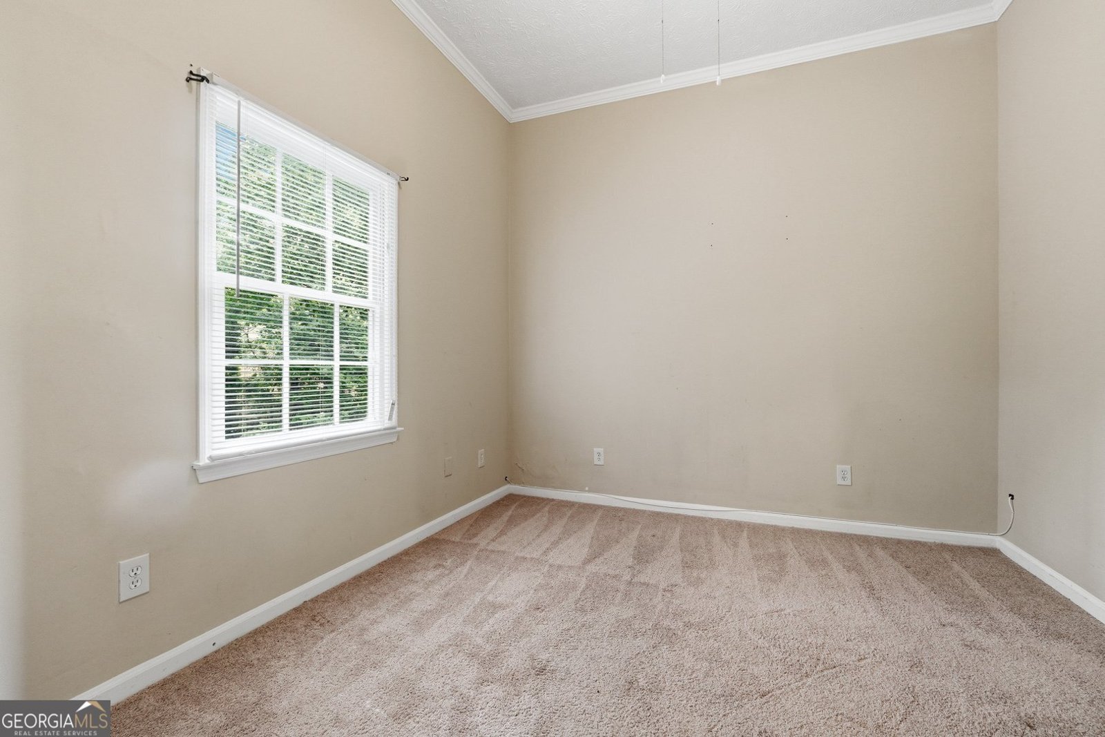 1268 To Lani Drive Stone Mountain - Photo 16