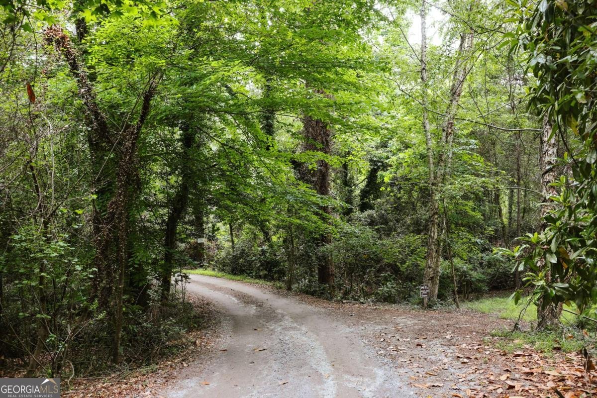 240 Beech Creek Road Athens - Photo 60