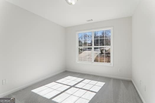 5560 PILGRIM POINT Extension Cumming - Photo 18