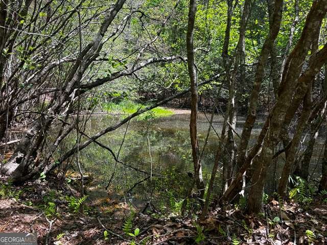 1190 Maple Grove Road Morganton - Photo 37
