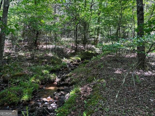1190 Maple Grove Road Morganton - Photo 38