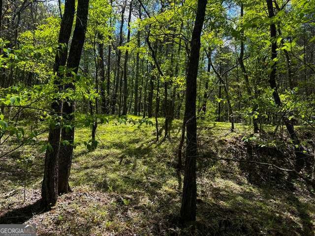 1190 Maple Grove Road Morganton - Photo 39