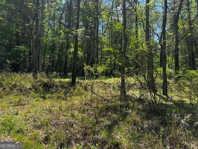 1190 Maple Grove Road Morganton - Photo 81