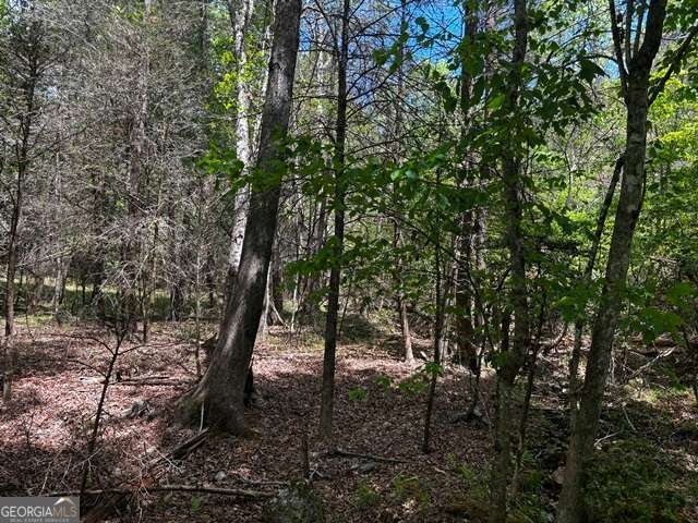 1190 Maple Grove Road Morganton - Photo 82