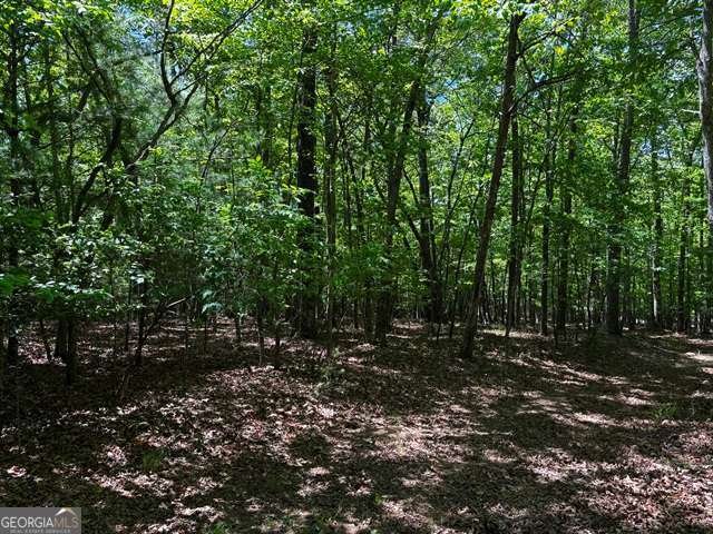 1190 Maple Grove Road Morganton - Photo 84