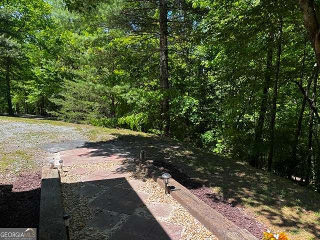 1190 Maple Grove Road Morganton - Photo 87