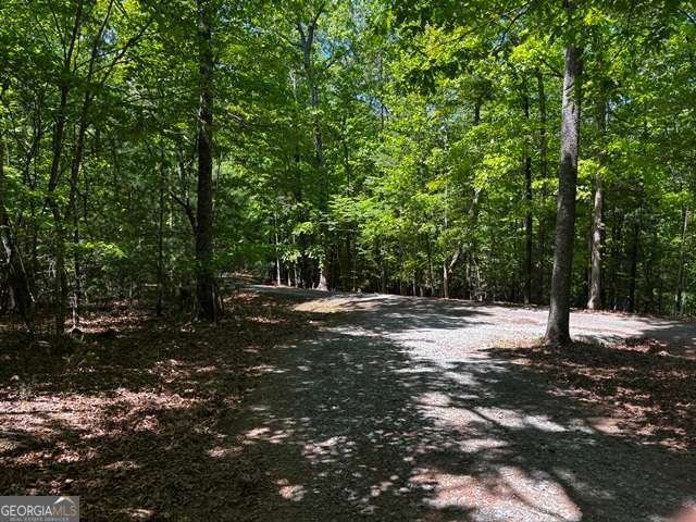 1190 Maple Grove Road Morganton - Photo 88