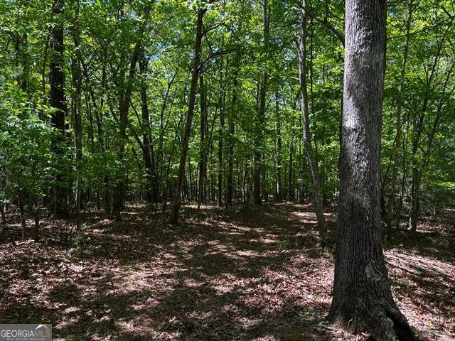 1190 Maple Grove Road Morganton - Photo 89