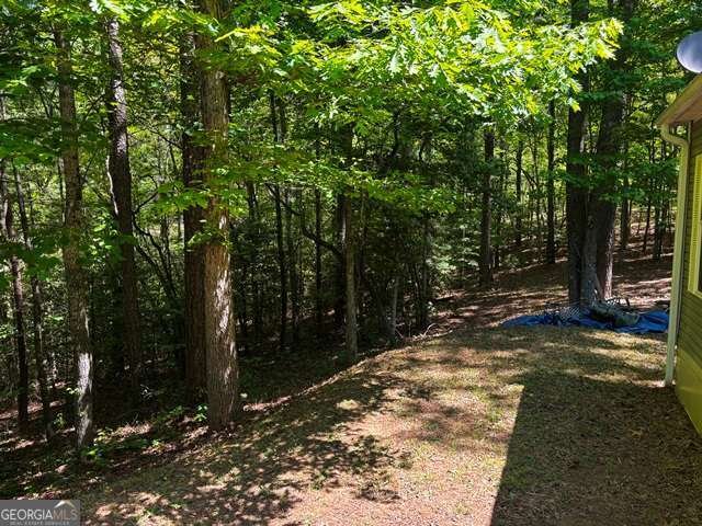 1190 Maple Grove Road Morganton - Photo 91