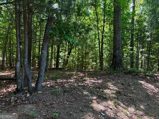 1190 Maple Grove Road Morganton - Photo 93