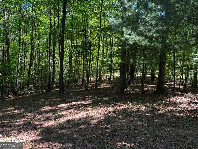 1190 Maple Grove Road Morganton - Photo 94