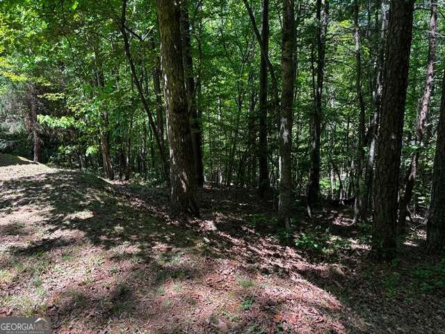 1190 Maple Grove Road Morganton - Photo 95