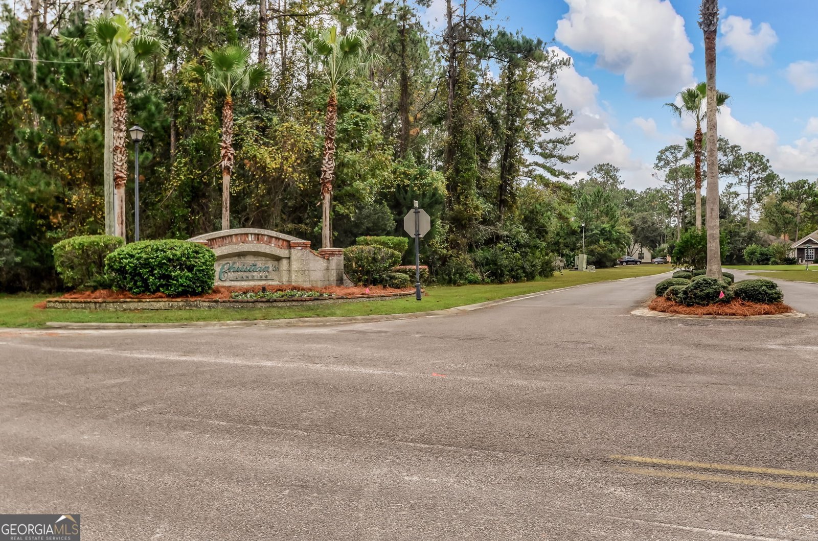 100 Carrington Way Kingsland - Photo 58