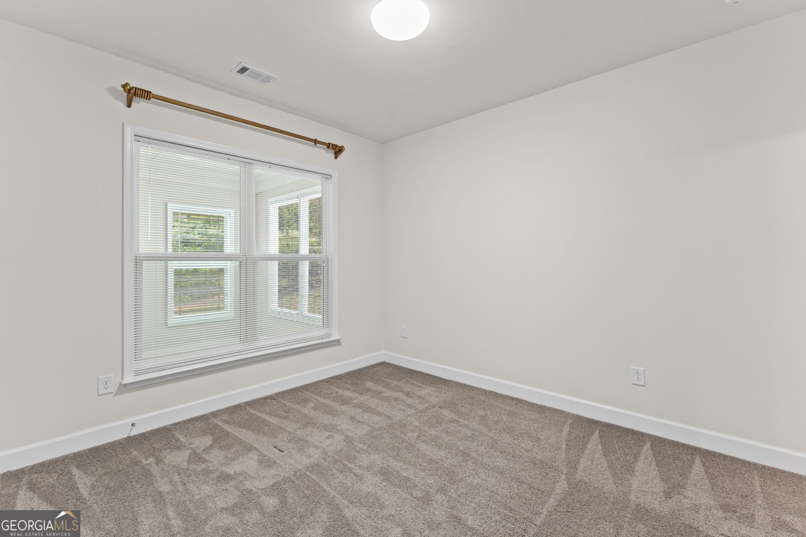 107 Marigold Court Griffin - Photo 35