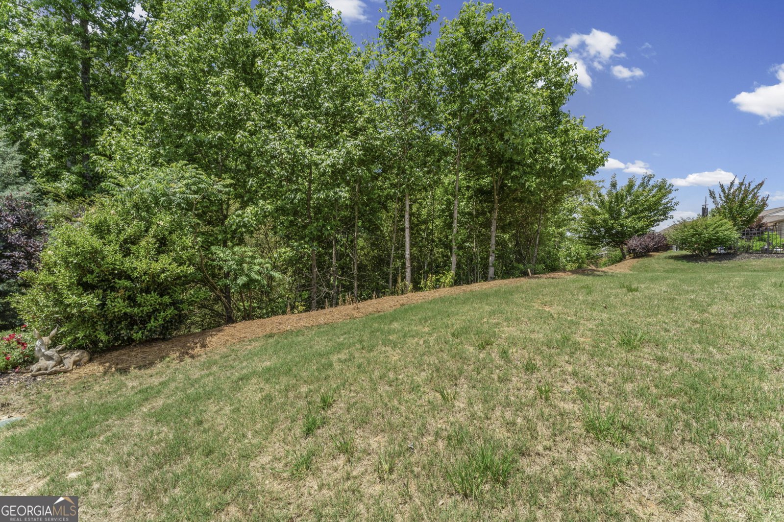 107 Marigold Court Griffin - Photo 46