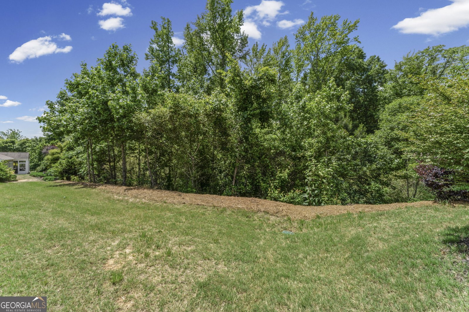 107 Marigold Court Griffin - Photo 47