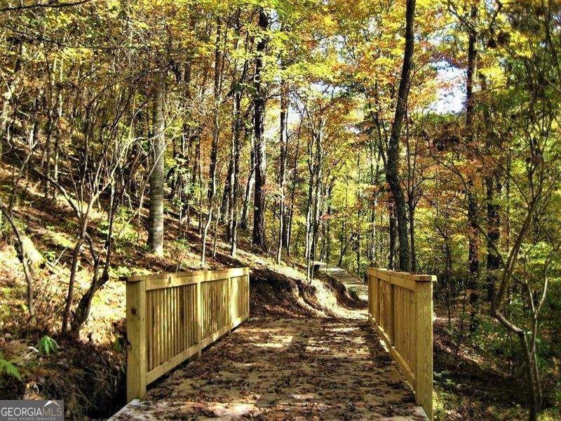 108 Cherokee Cove Waleska - Photo 37