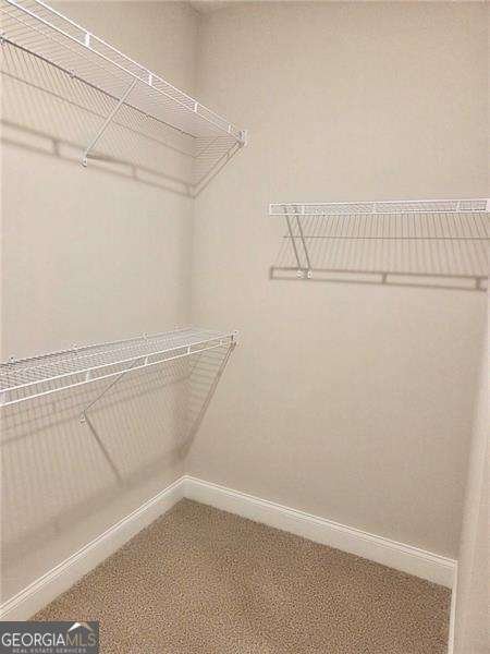 149 White Antelope Street Waleska - Photo 11