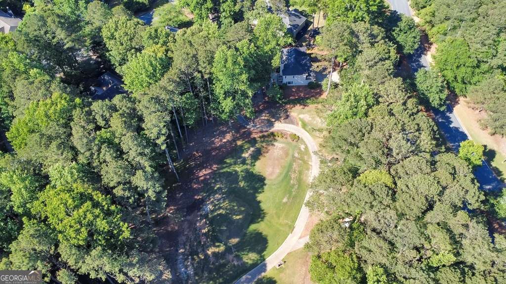 3056 Eagle Watch Drive Woodstock - Photo 44
