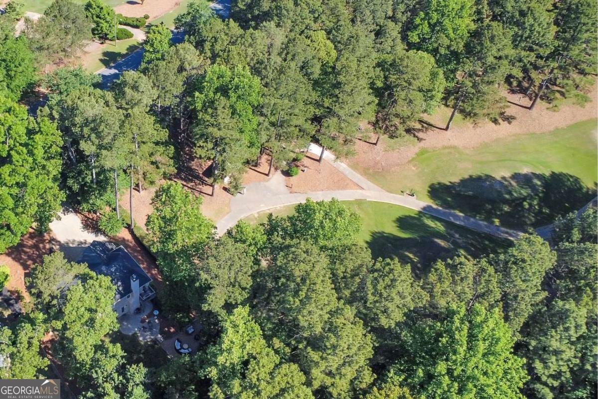 3056 Eagle Watch Drive Woodstock - Photo 46