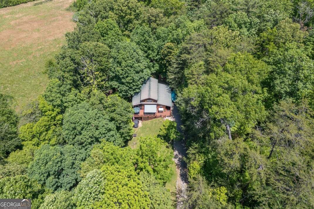 66 Fortenberry Road Young Harris - Photo 54