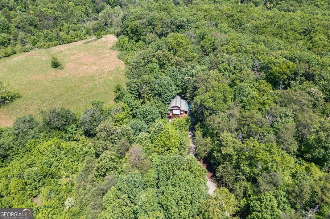 66 Fortenberry Road Young Harris - Photo 55