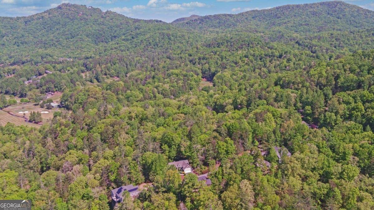 52 Breton Highlands Court Clayton - Photo 53