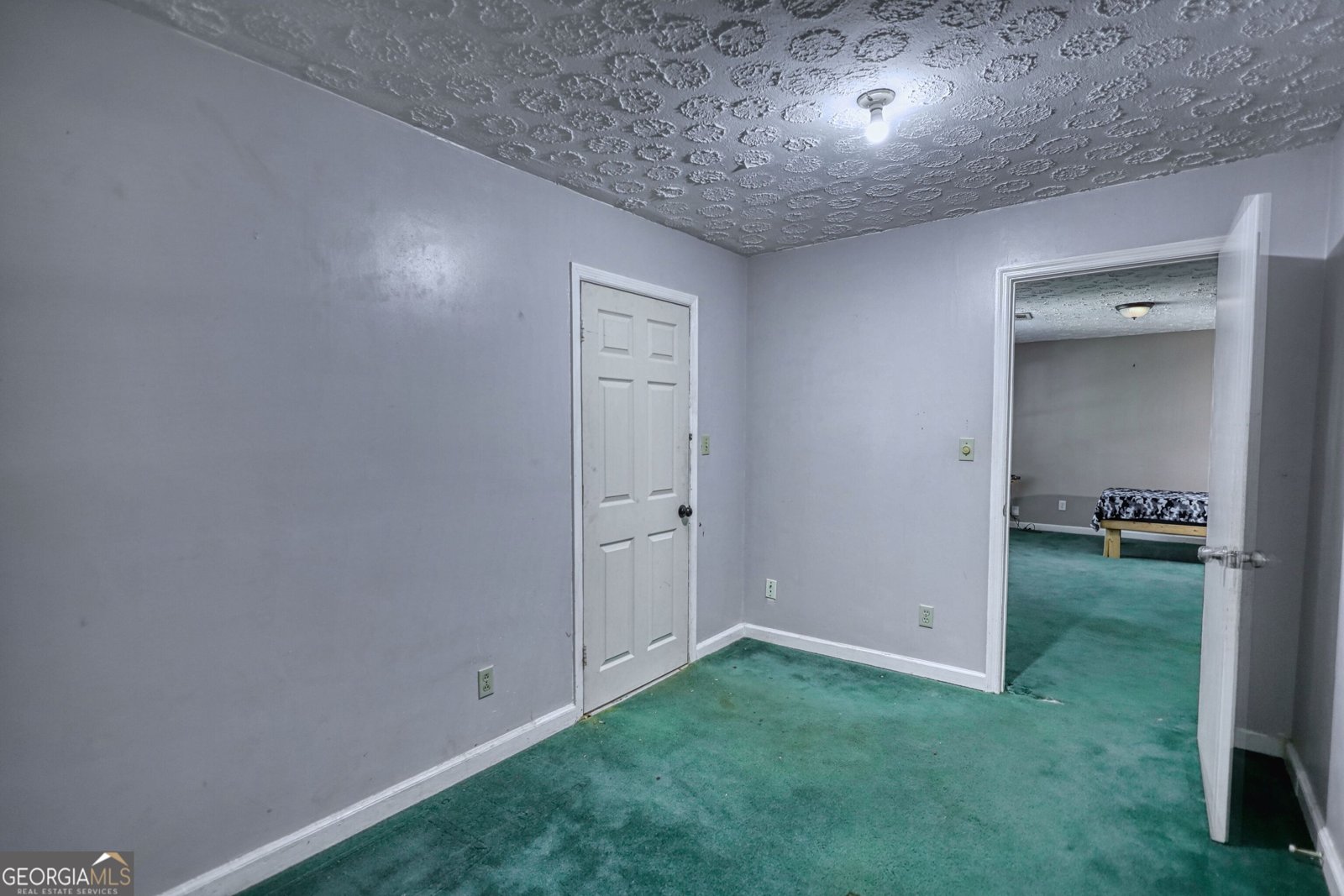 2286 E Lake Drive Conyers - Photo 62