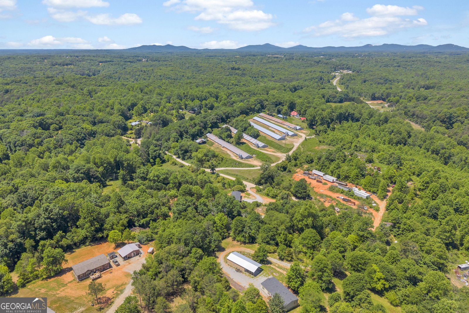 226 Mineral Springs Conn Demorest - Photo 52