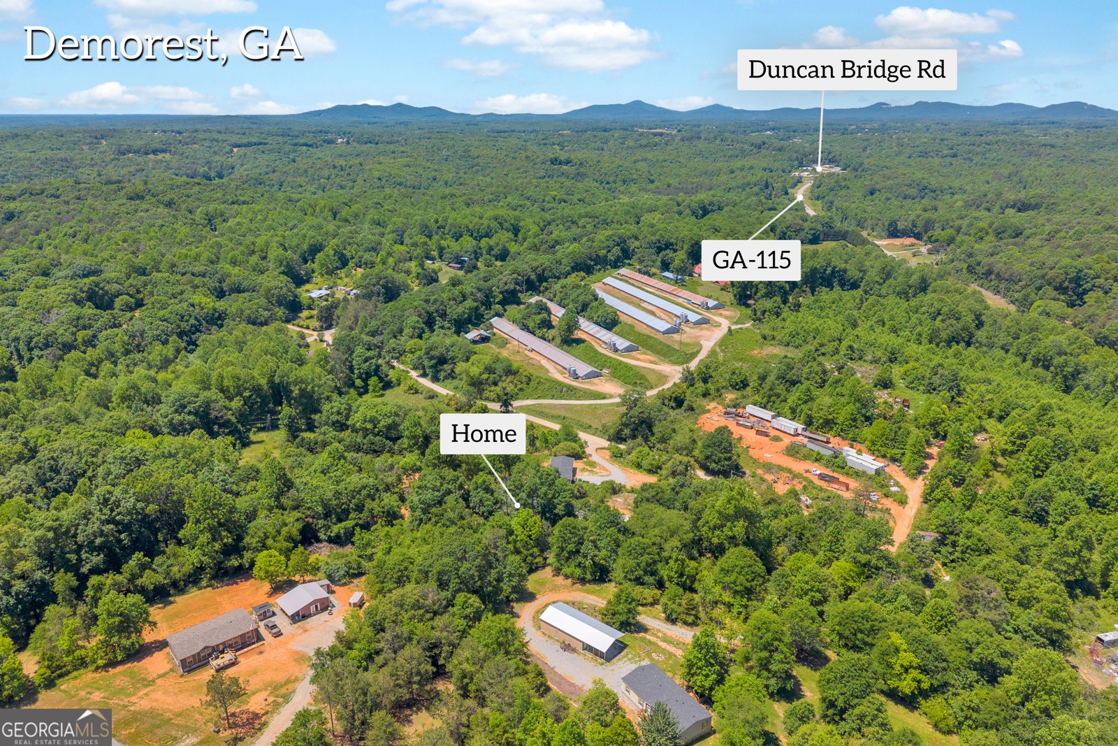 226 Mineral Springs Conn Demorest - Photo 53