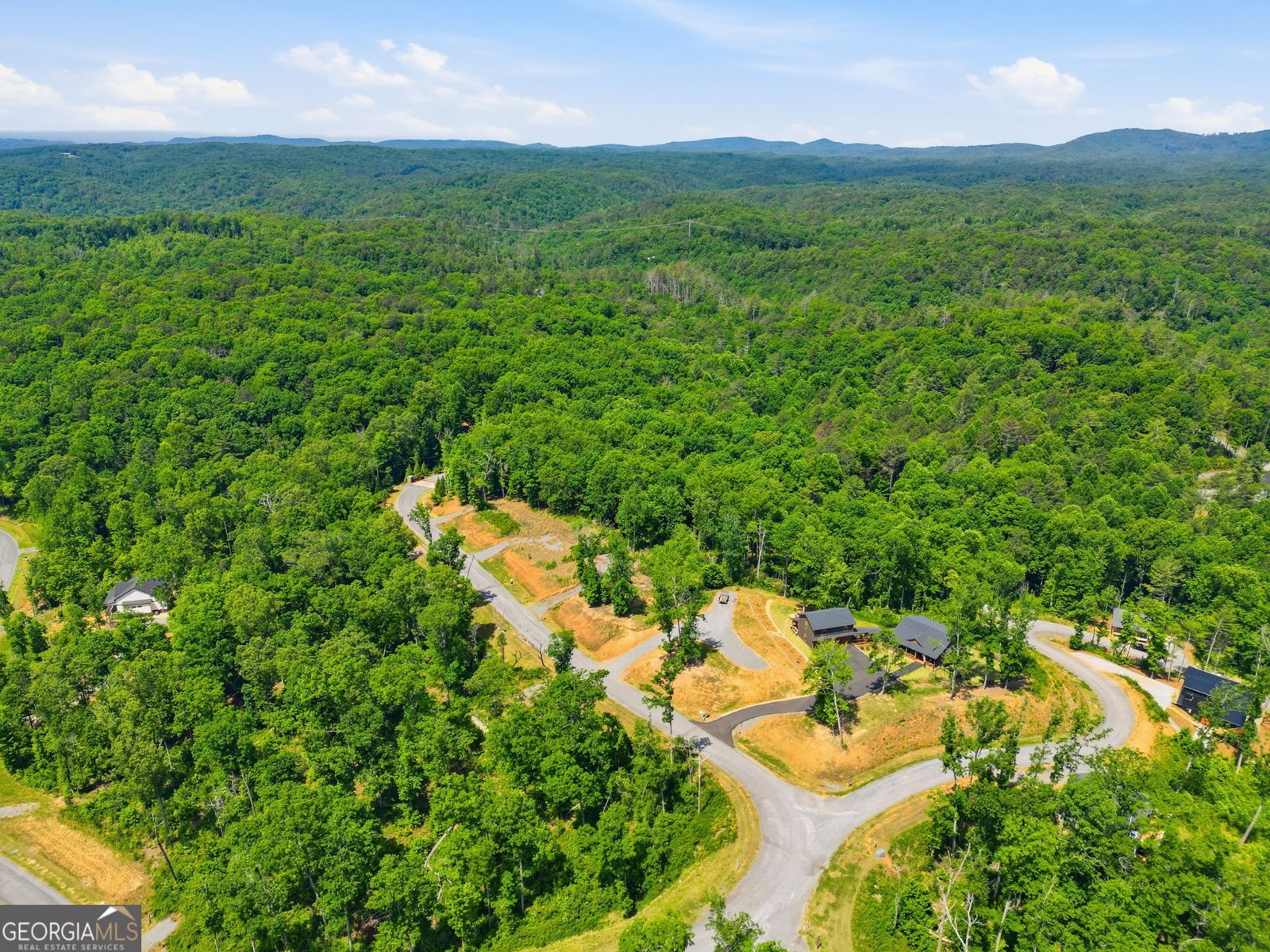 131 Jakes Landing Drive Ellijay - Photo 45