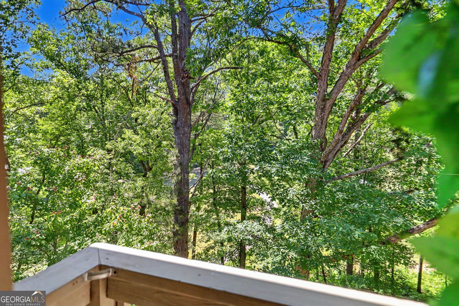 227 Shakespeare Drive Clayton - Photo 41