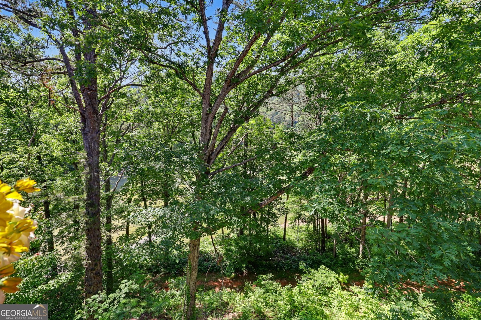 227 Shakespeare Drive Clayton - Photo 42