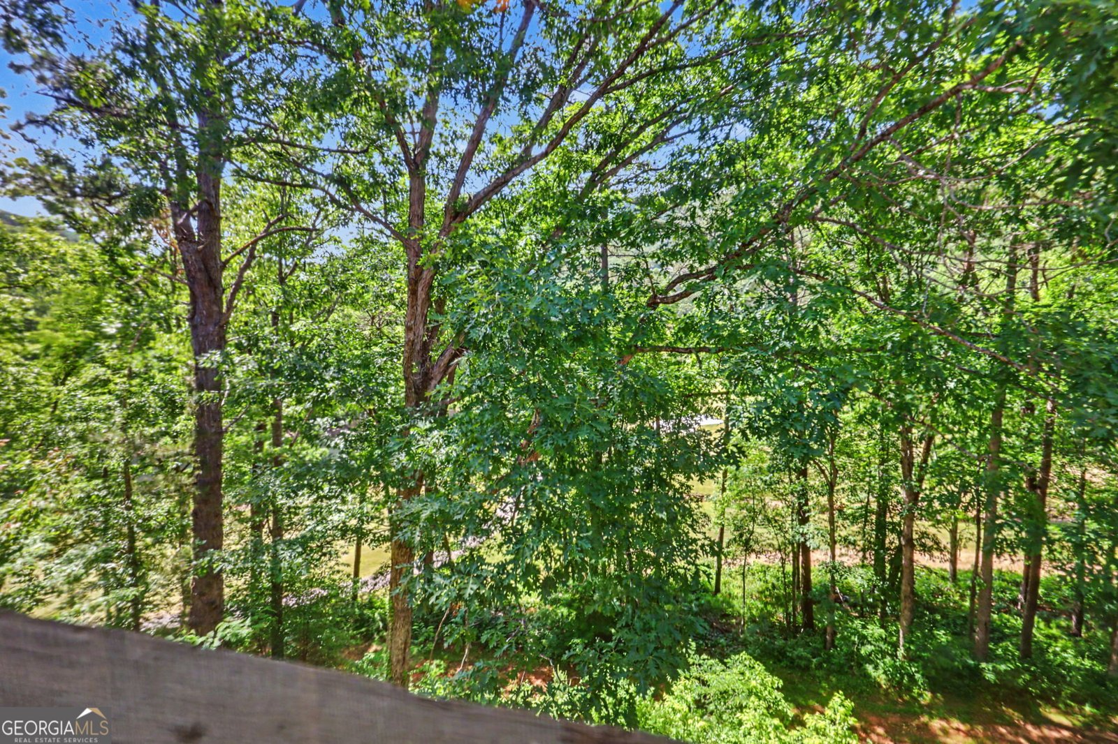 227 Shakespeare Drive Clayton - Photo 59