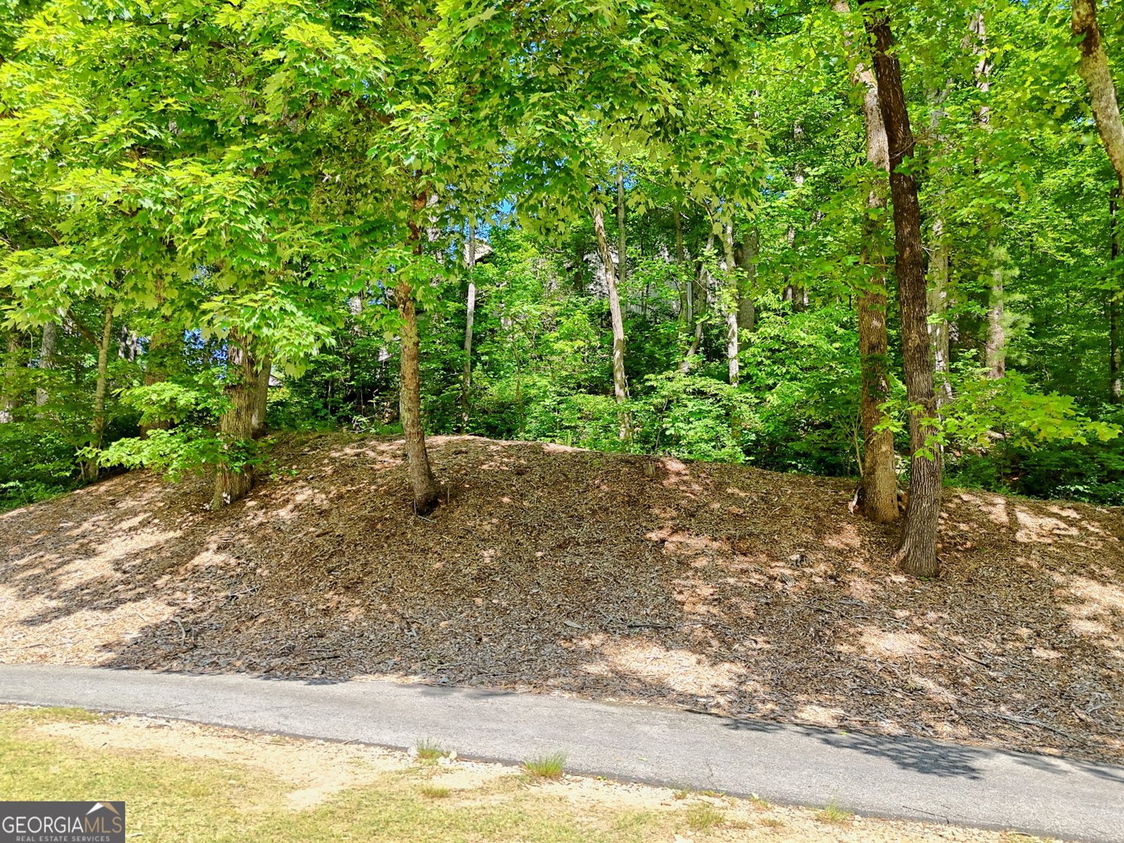 227 Shakespeare Drive Clayton - Photo 64