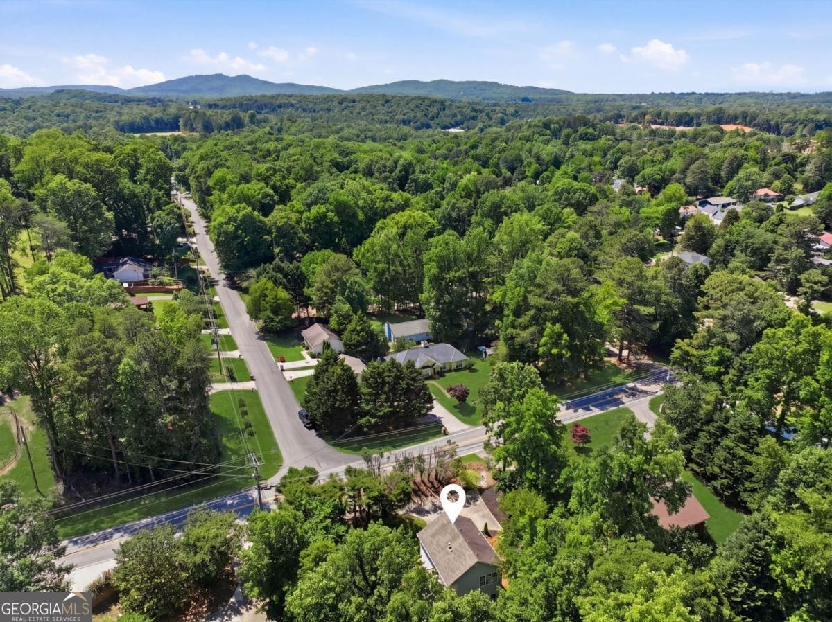 2697 Pilgrim Mill Road Cumming - Photo 35