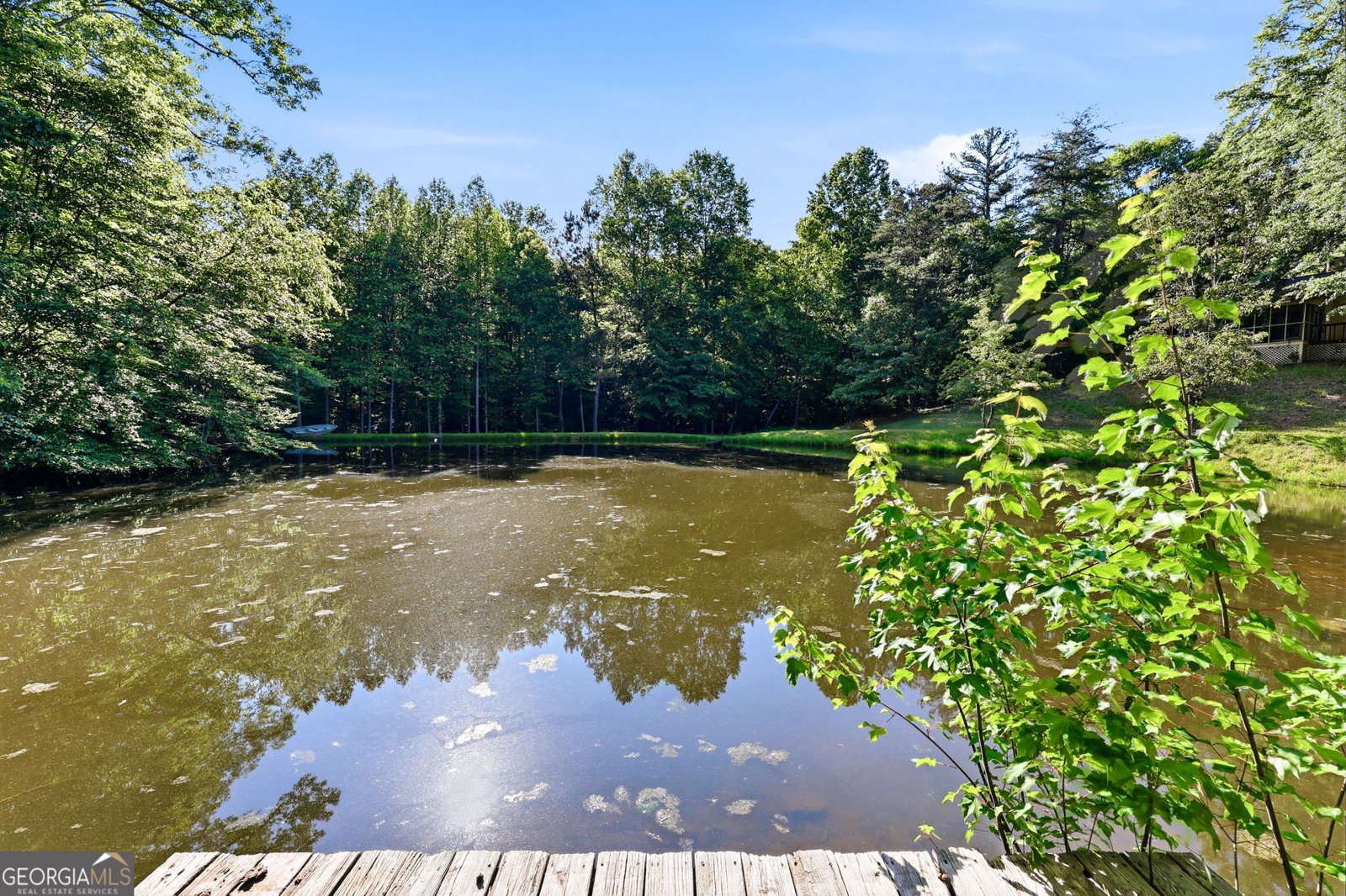 4703 Mount Vernon Road Gainesville - Photo 14