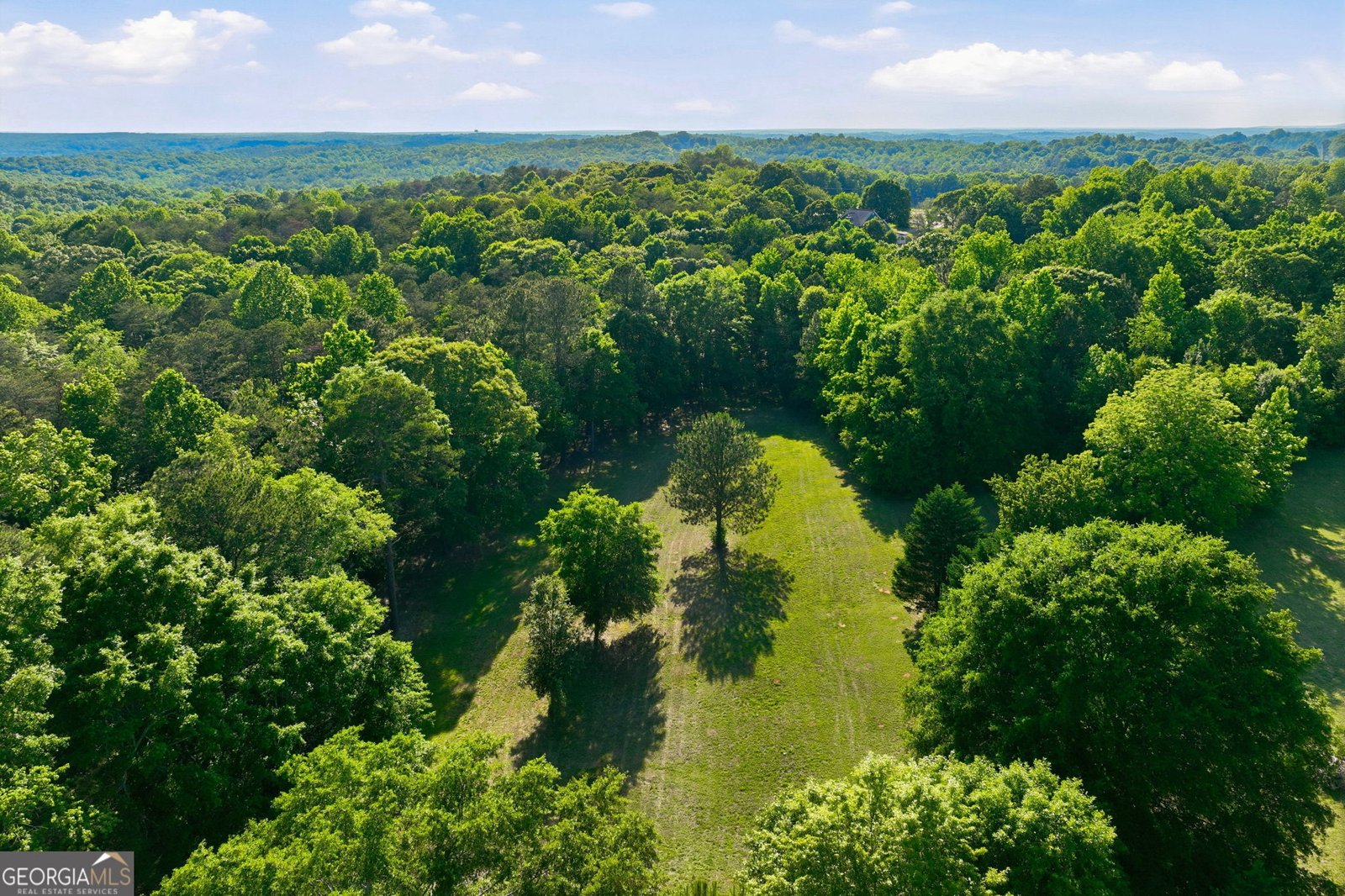 4703 Mount Vernon Road Gainesville - Photo 53
