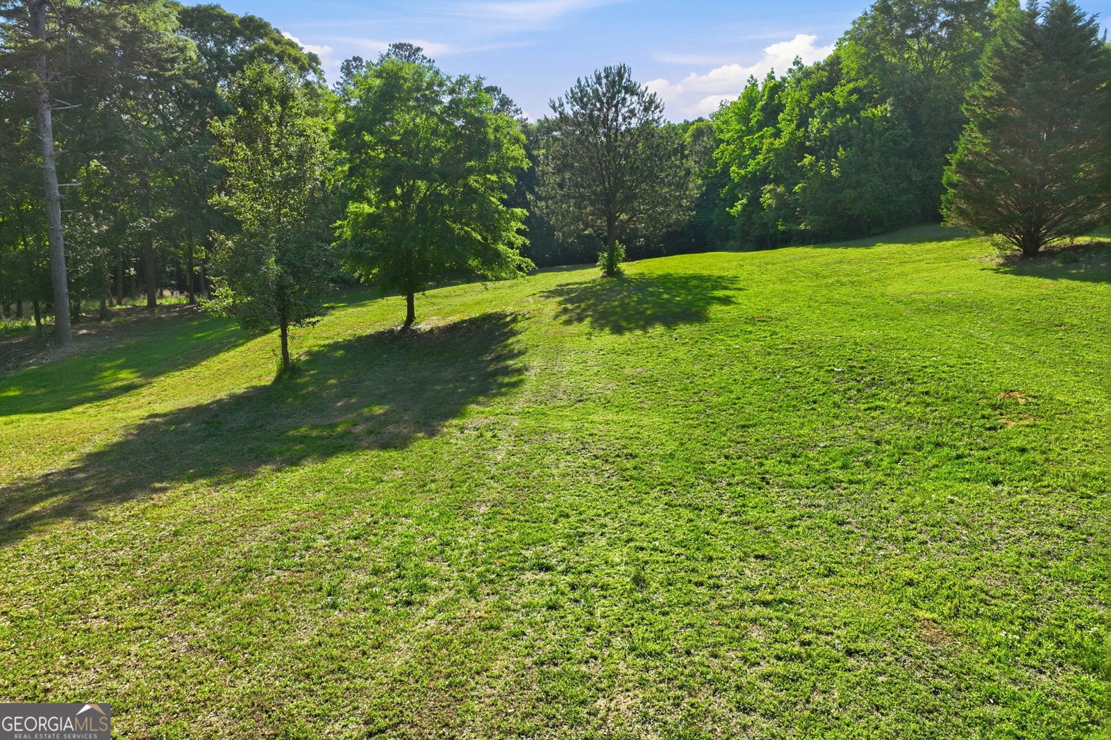 4703 Mount Vernon Road Gainesville - Photo 54