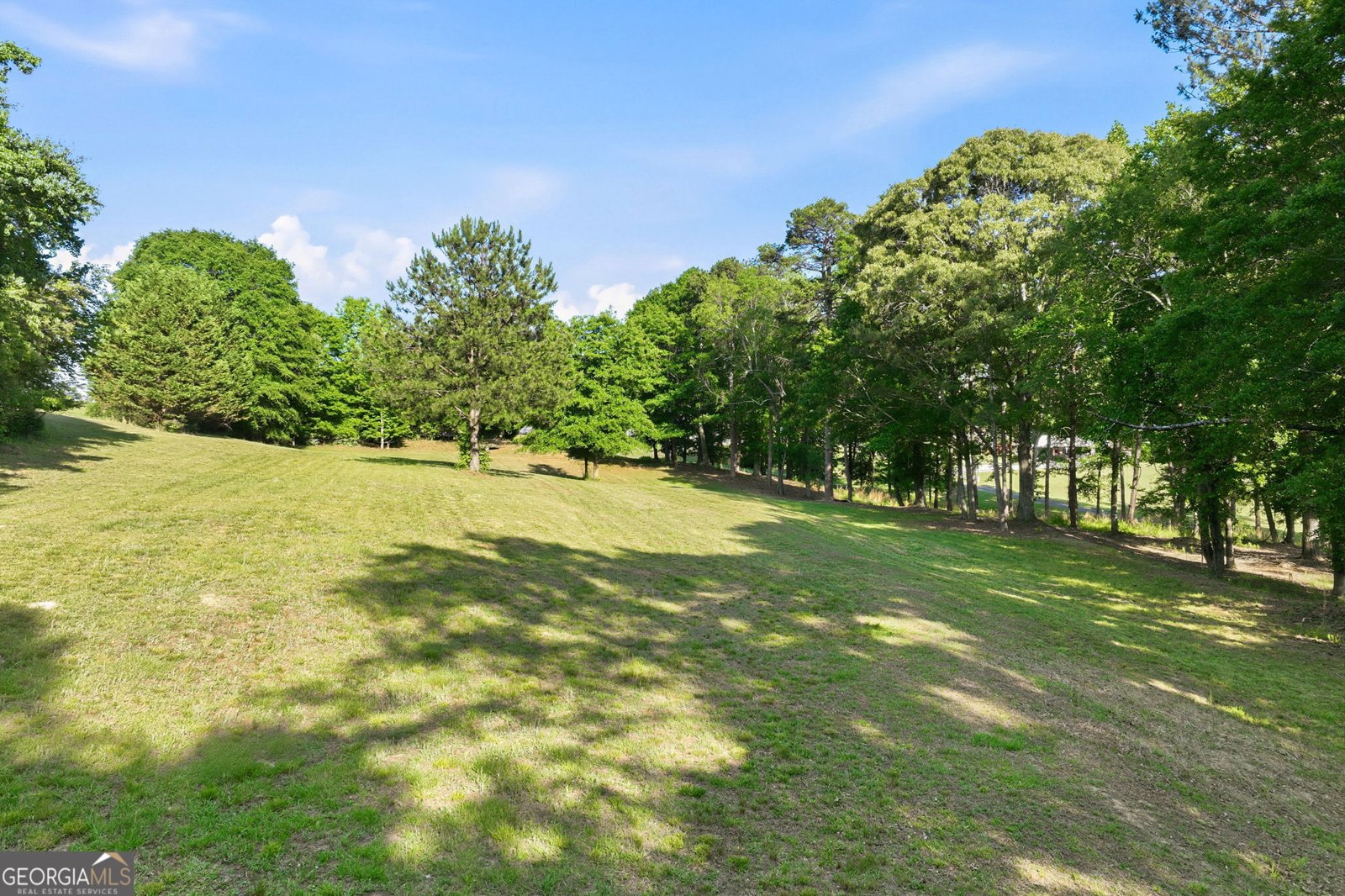 4703 Mount Vernon Road Gainesville - Photo 55