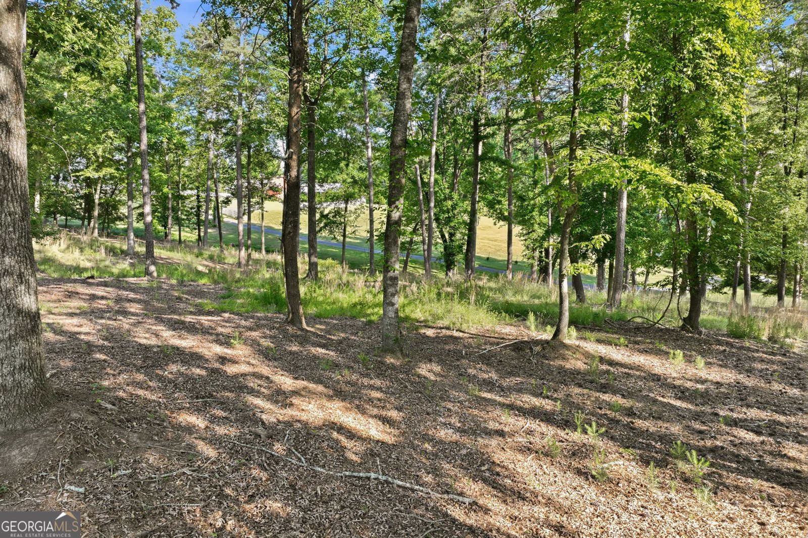 4703 Mount Vernon Road Gainesville - Photo 56