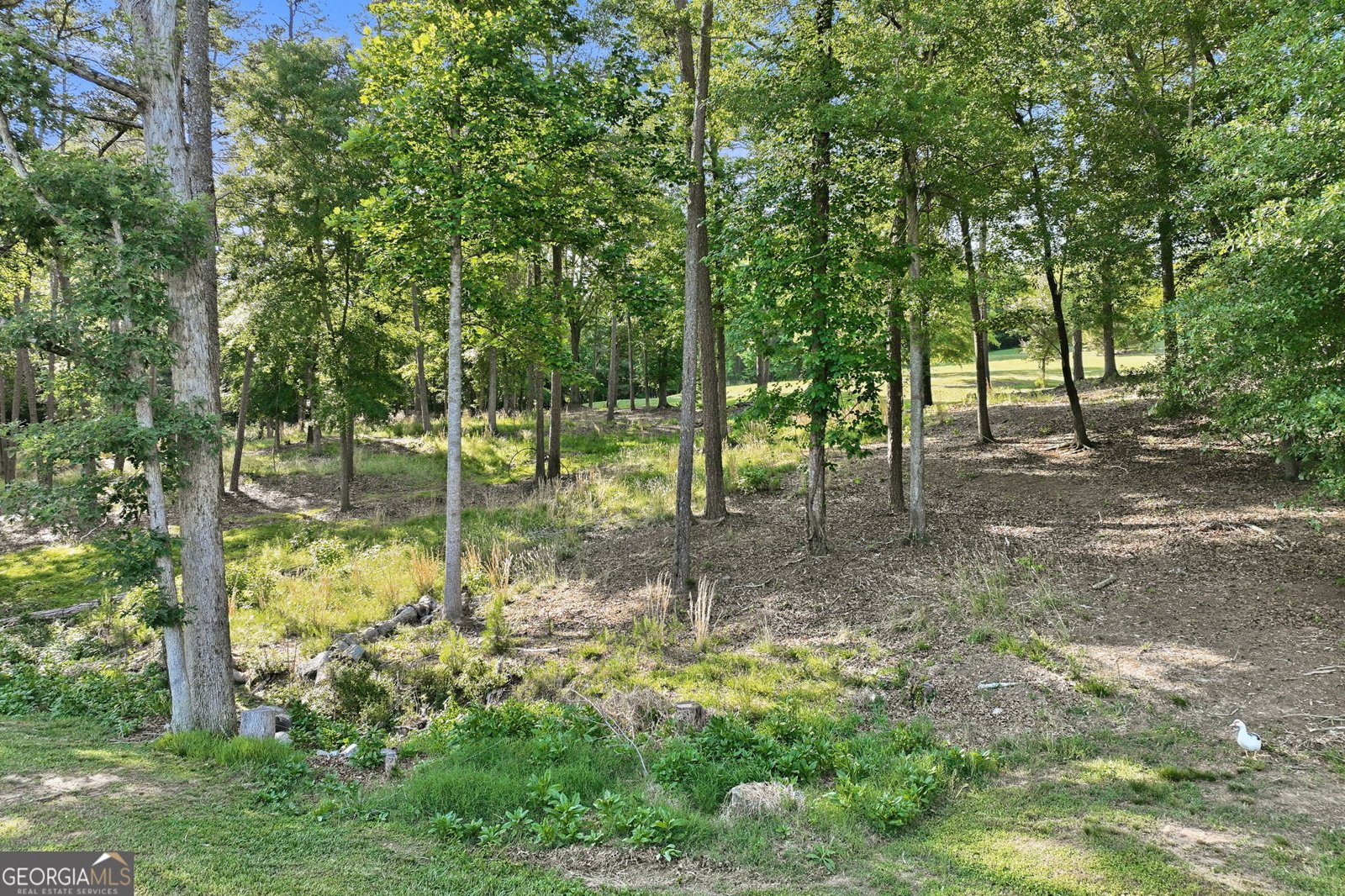 4703 Mount Vernon Road Gainesville - Photo 64
