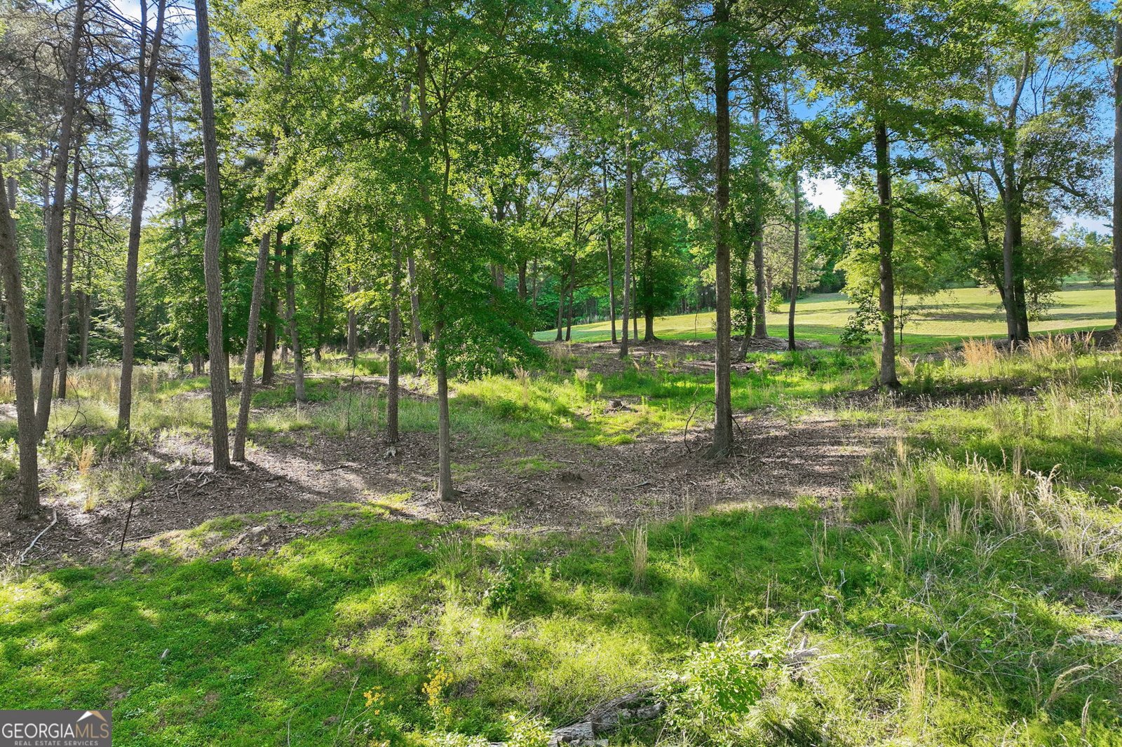 4703 Mount Vernon Road Gainesville - Photo 65