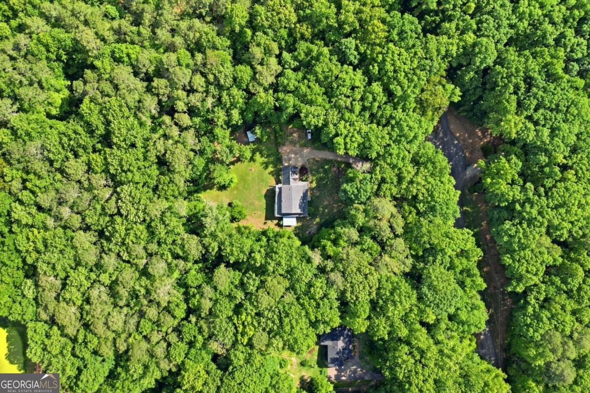 483 Martinique Trace Canton - Photo 42
