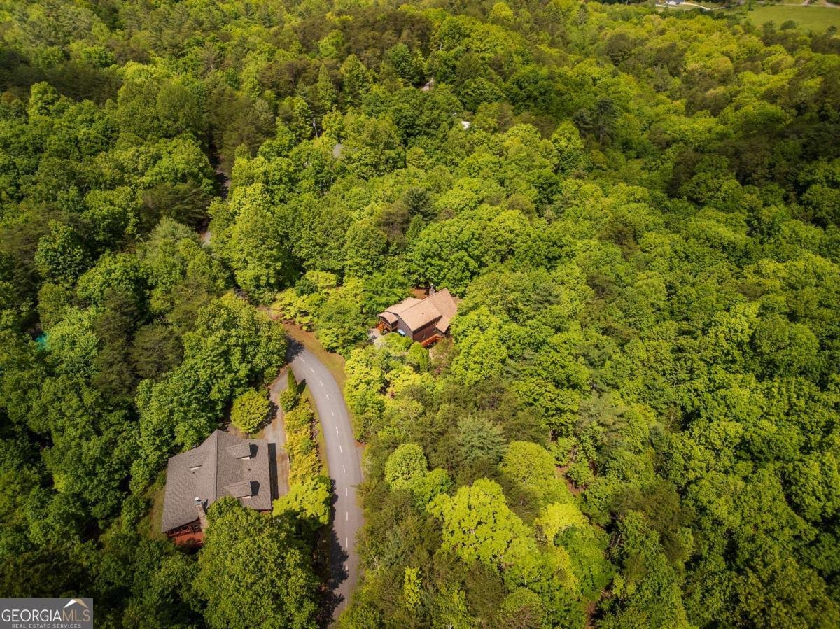 1600 My Mountain Road Morganton - Photo 44