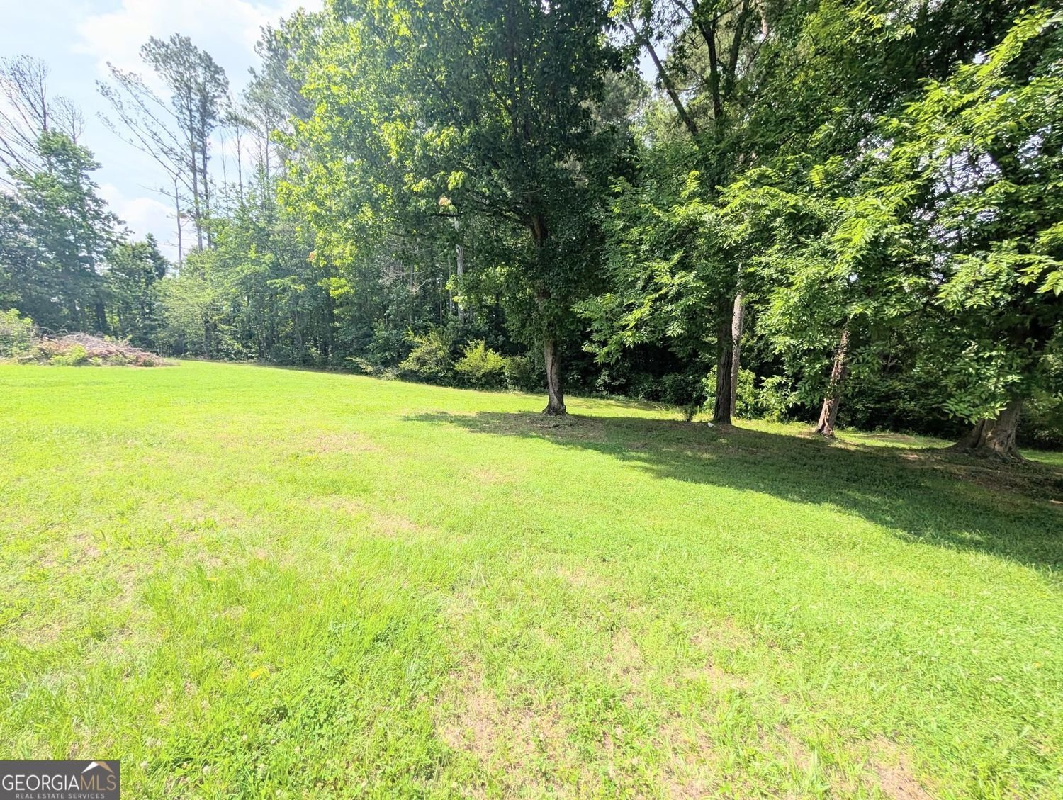201 Club Road Buchanan - Photo 19