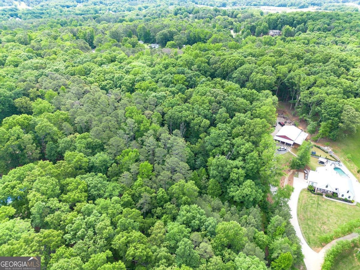 65 Gaddis Road Cartersville - Photo 67