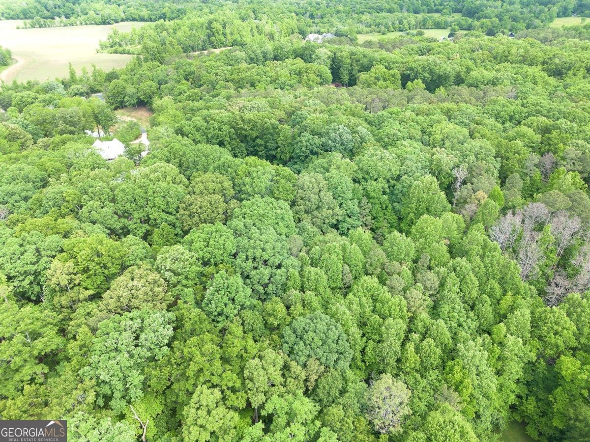 65 Gaddis Road Cartersville - Photo 72