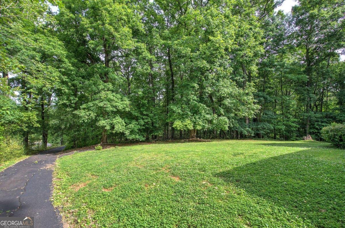 65 Gaddis Road Cartersville - Photo 76