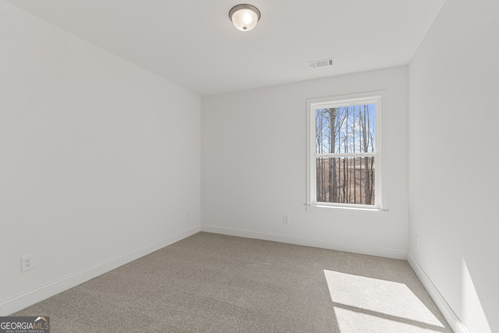 171 Open Waters Walk Braselton - Photo 25